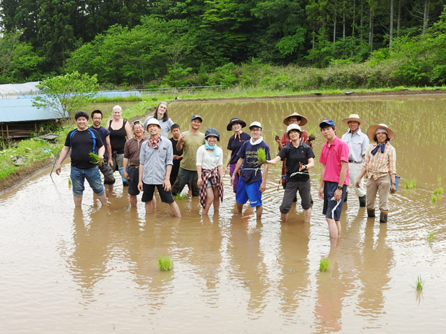 Advanced Agriculture and Forestry Program